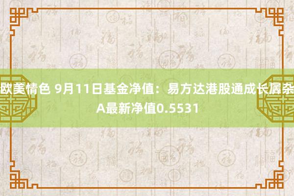 欧美情色 9月11日基金净值：易方达港股通成长羼杂A最新净值0.5531