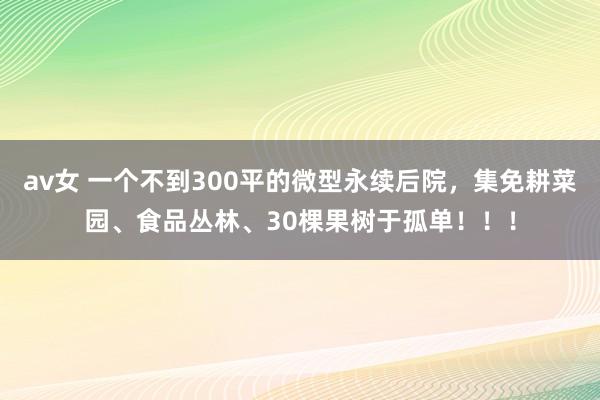 av女 一个不到300平的微型永续后院，集免耕菜园、食品丛林、30棵果树于孤单！！！